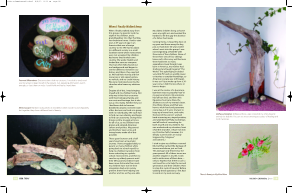 visit page 11
