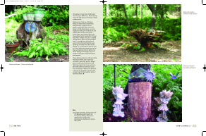 visit page 13